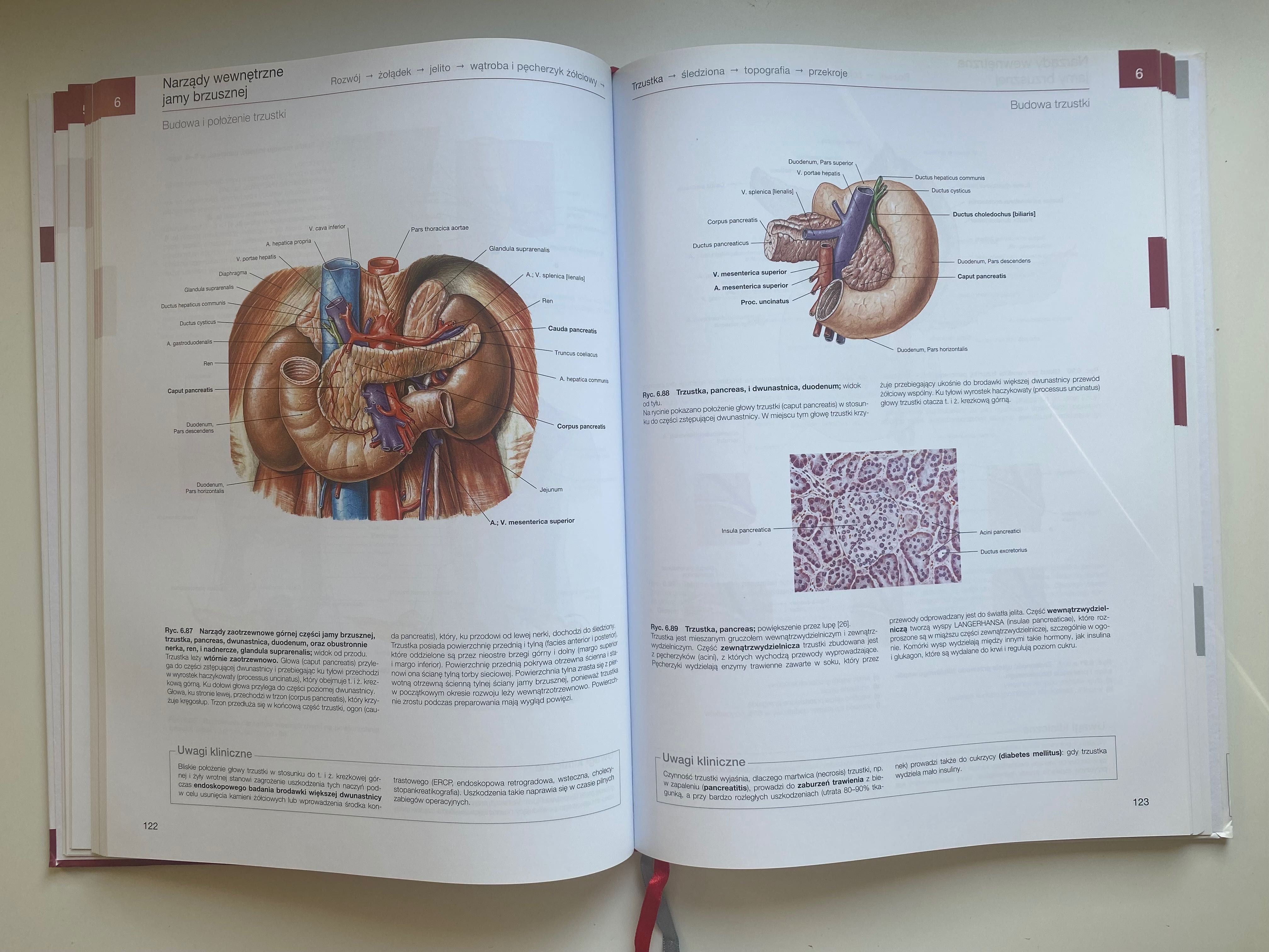 Atlas Anatomii człowieka Sobotta tom 2.