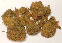 2G Susz Blueberry Haze 30% (THCP HHCO) marihuana