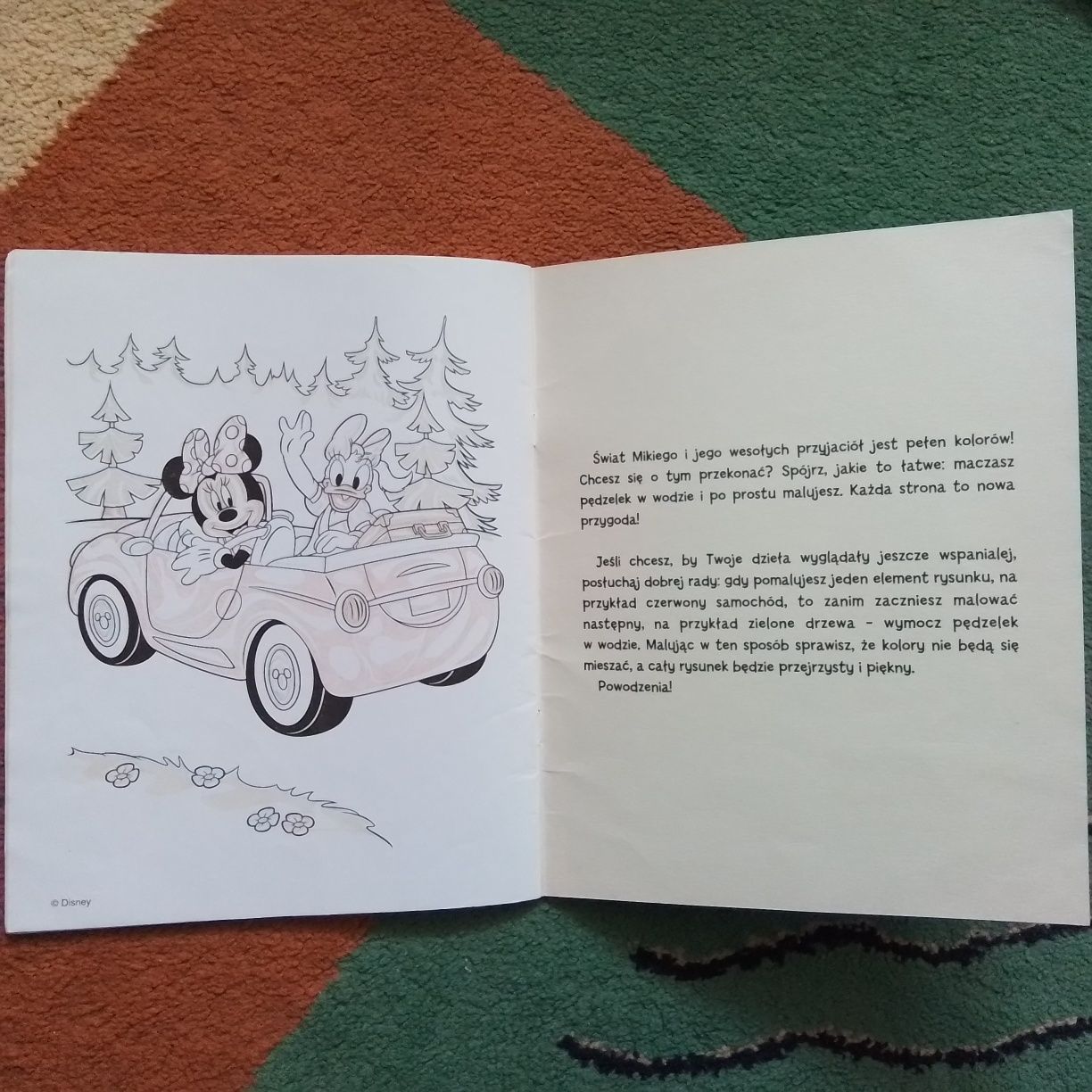 Kolorowanka wodna Disney Klub Przyjaciół Myszki Miki, Maluj wodą!
