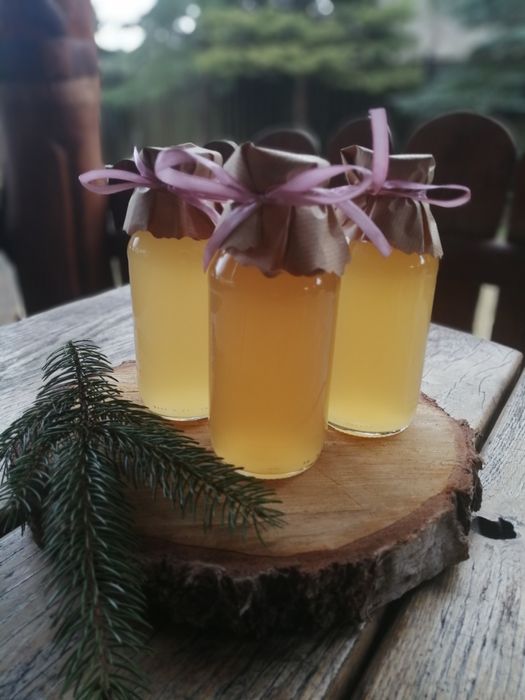 Syrop Zimowy Świerk