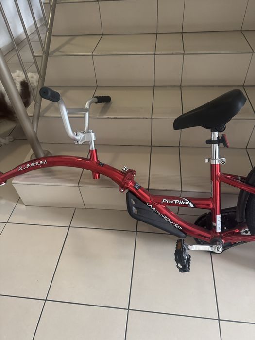 Przyczepka rowerowa Weeride