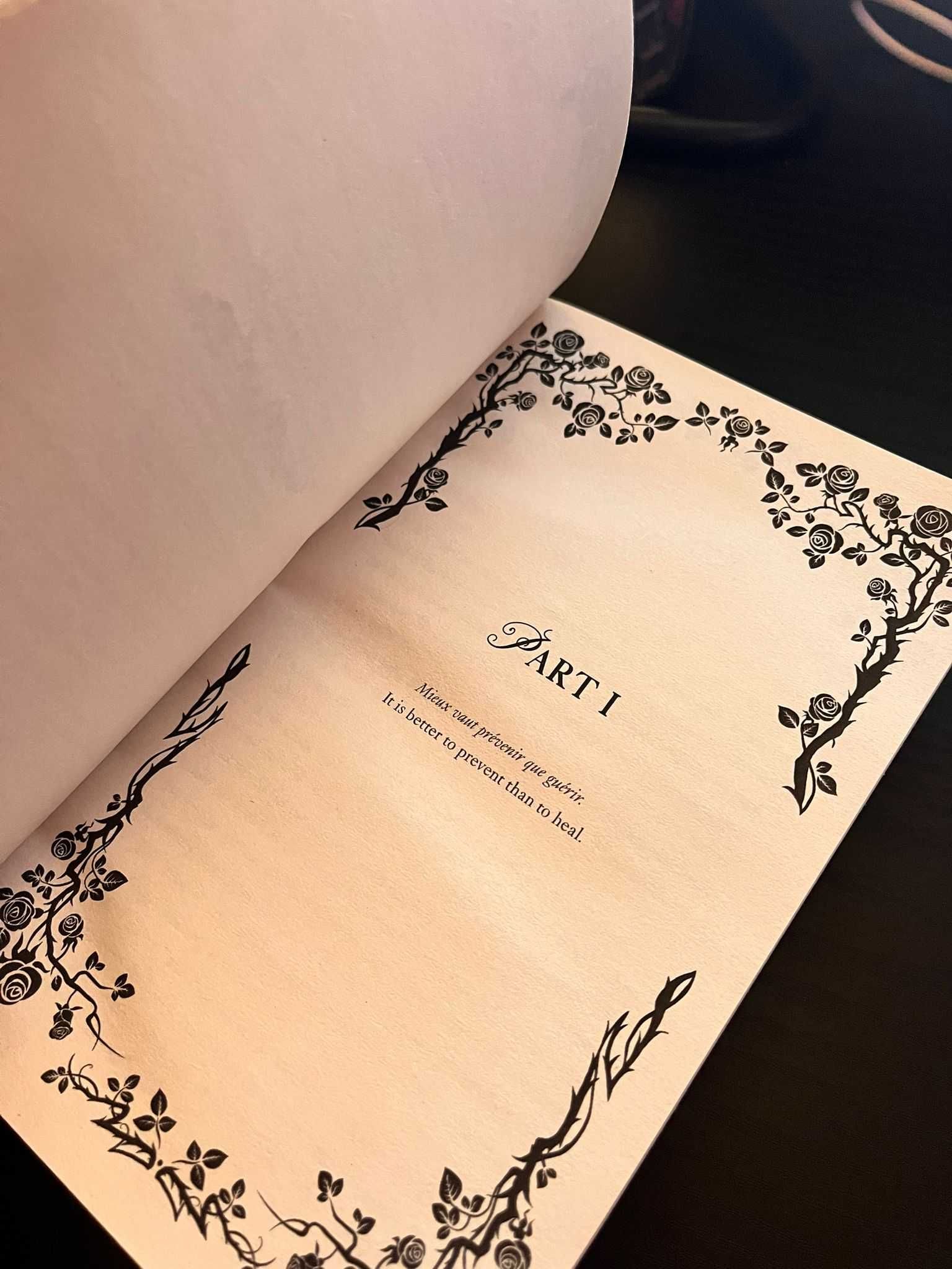 Book The Scarlet Veil – Shelby Mahurin