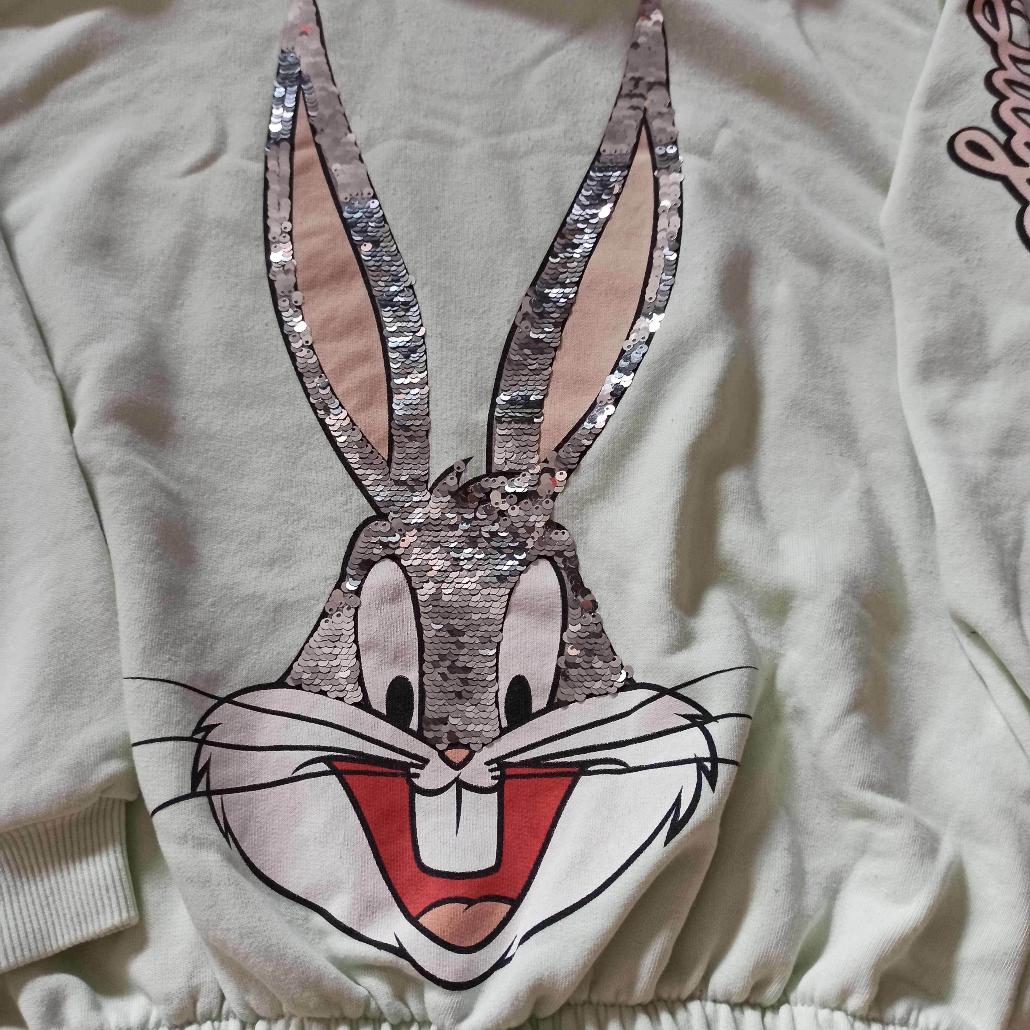 Miętowa bluza z kapturem, sweter ze ściągaczem królik Baks, Zara 134