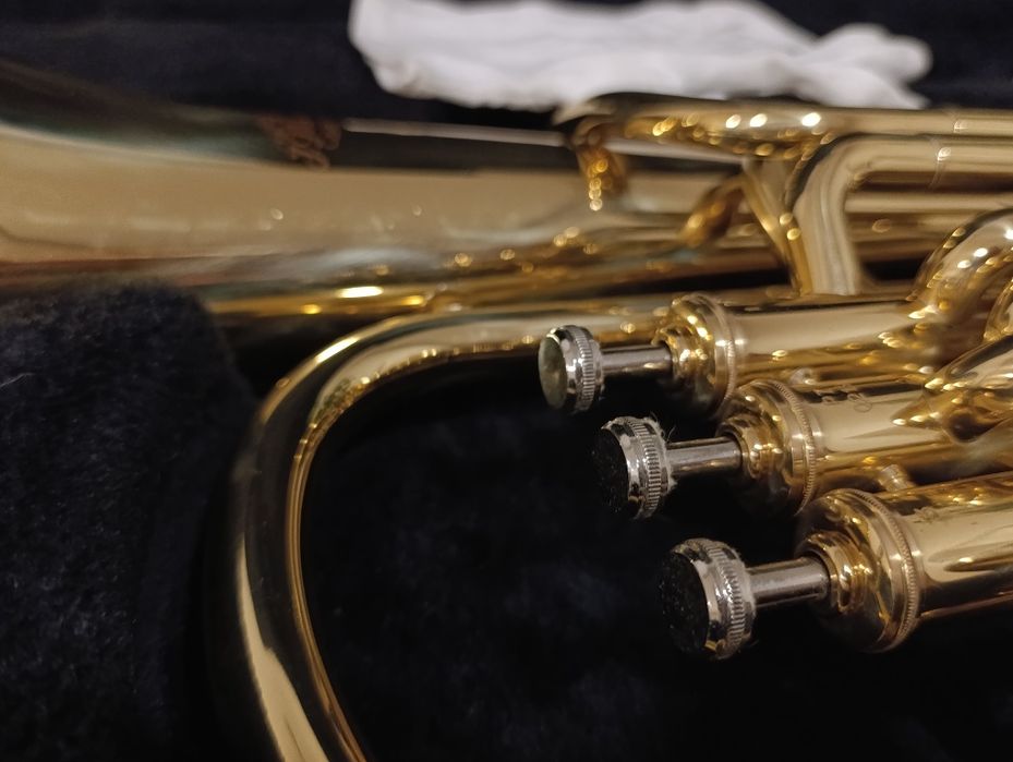 Bombardino/ Tuba