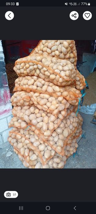 Smaczne ziemniaki Bernina