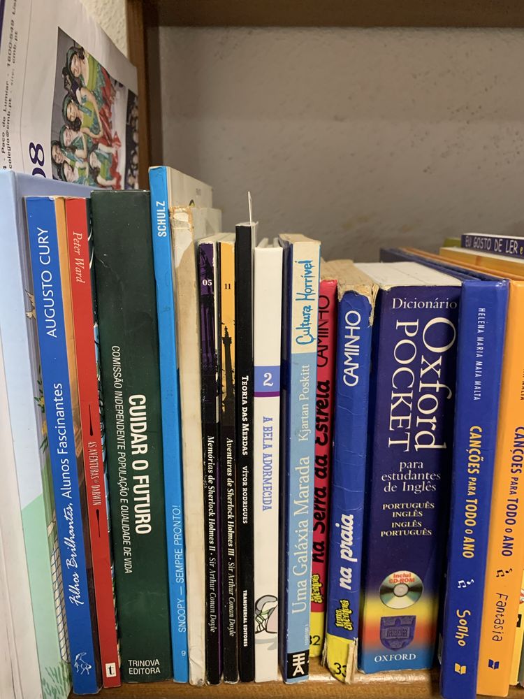 Livros diversos - ver lista abaixo - excelente estado