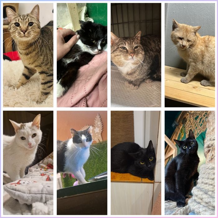 Czekam właśnie na ciebie