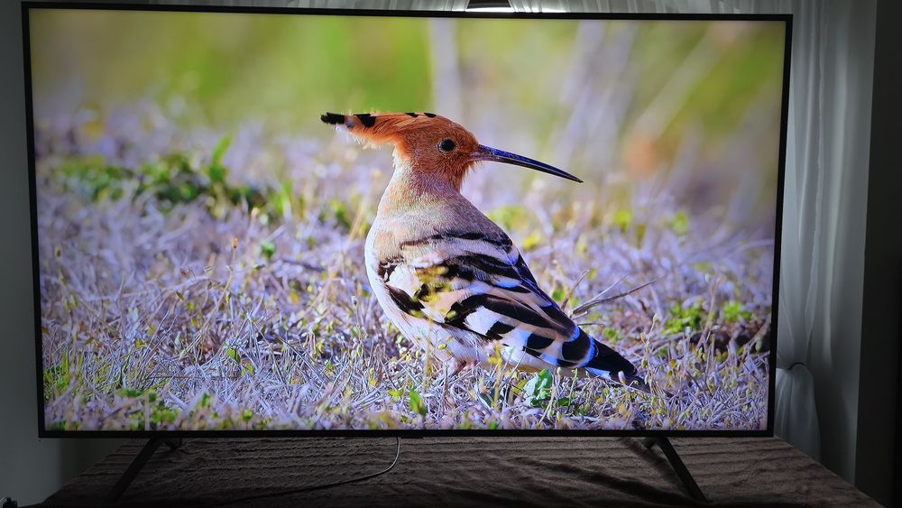 Telewizor Samsung 65" 4K (UHD) z 12m gwarancją