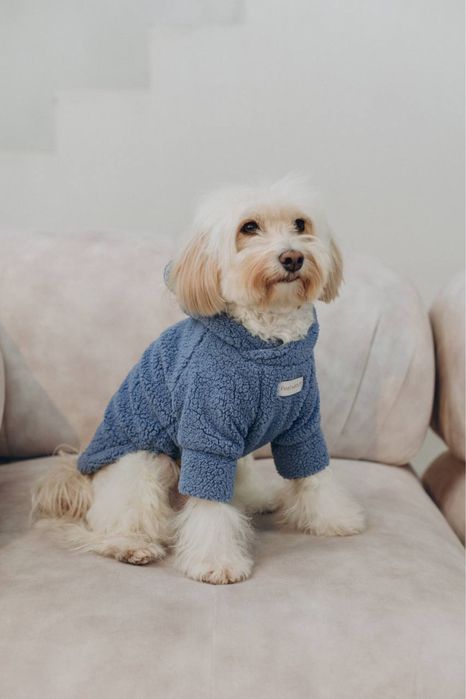 Одяг худі для собак Fell with fill