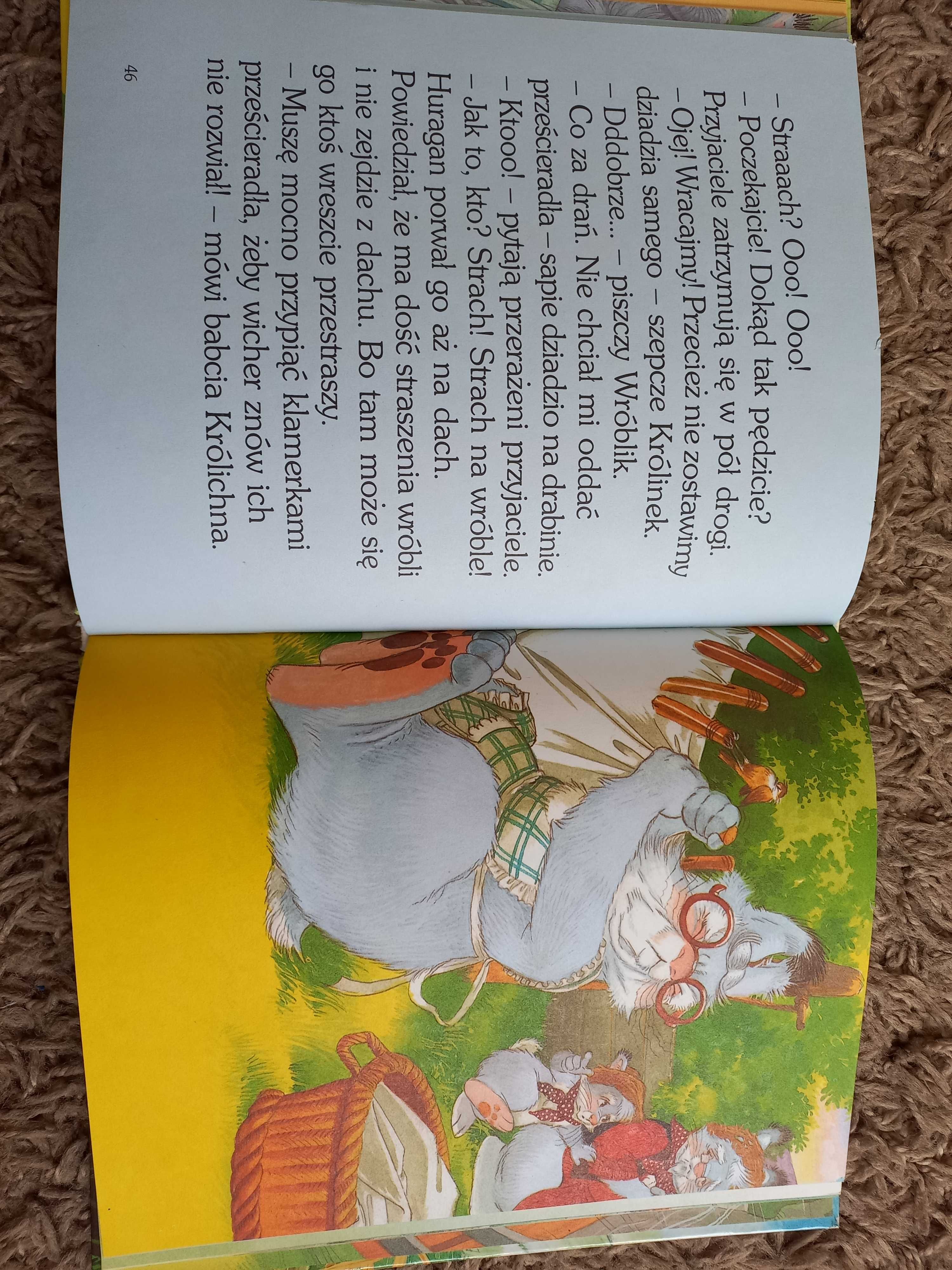 książka dla dzieci - przygody królika - duże litery