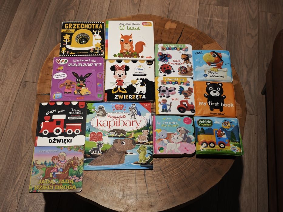 Zestaw książeczek dzieciecych