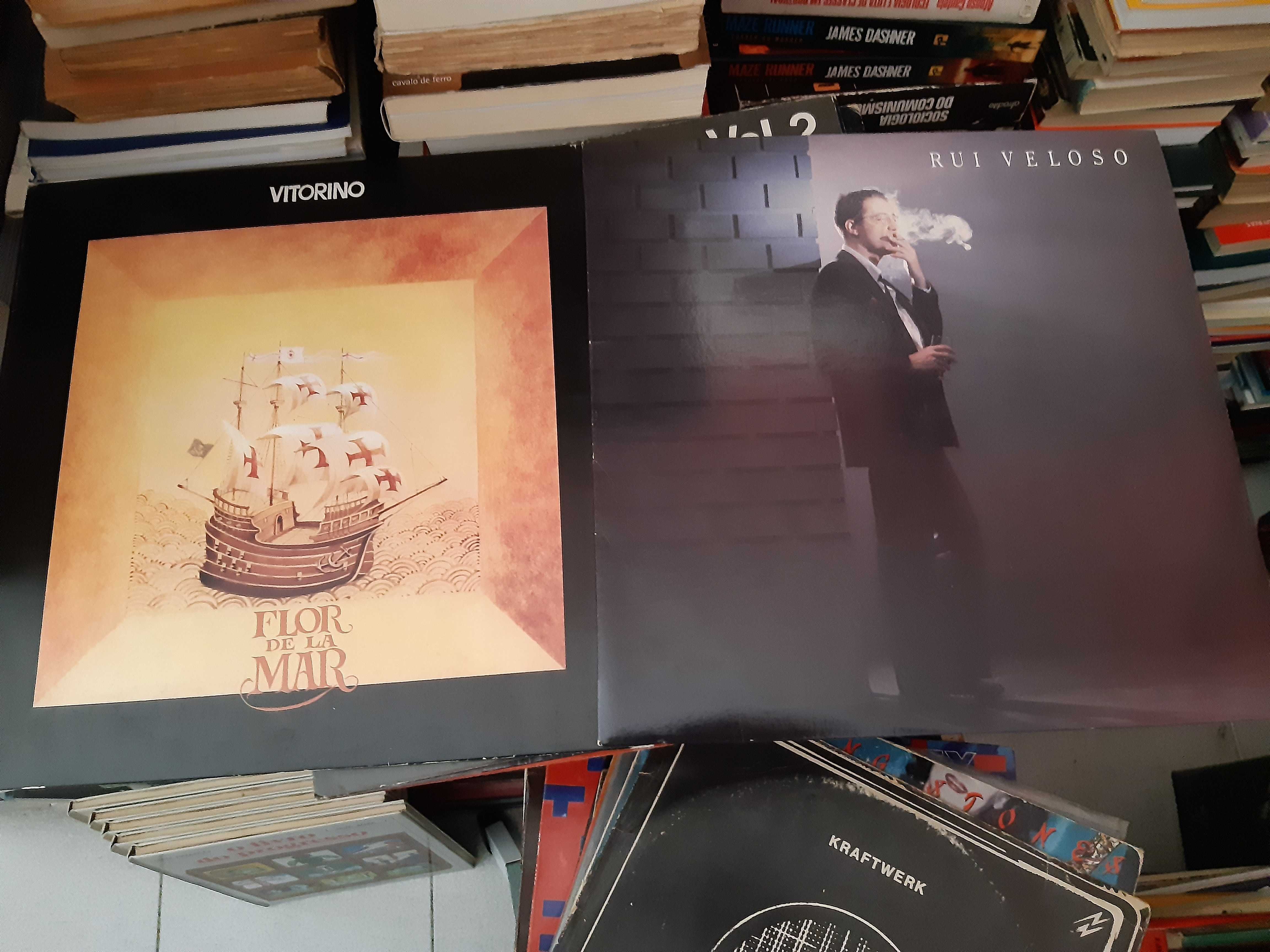 Discos de Vinil LP e Singles