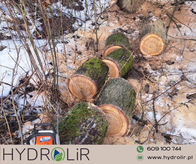 Wycinka drzew i krzewów/ przycinanie koron drzew
