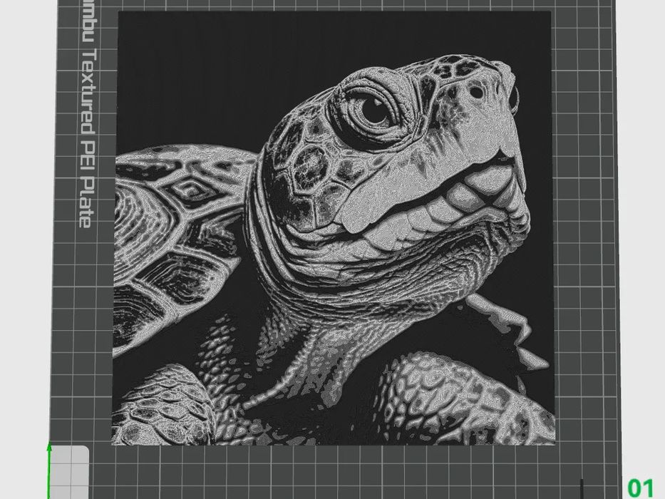 TORTU 200X200 Colorido