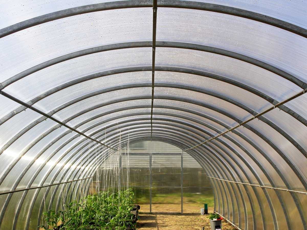 Szklarnia Tunel Ogrodowy 4x4 4x6 4x8 Poliwęglan 4mm / 6mm Prof.40x20mm