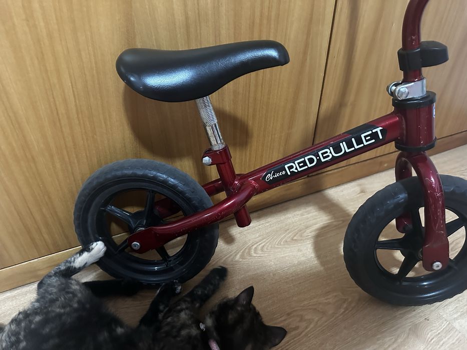 Primeira Bicicleta chicco sem pedais