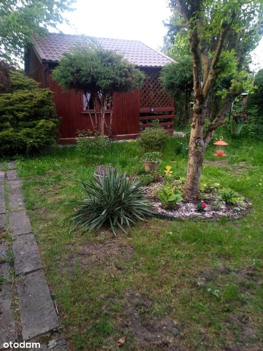 Działka  ROD, rekreacyjna   przy ul. Do Przystani (za Salwatorem)