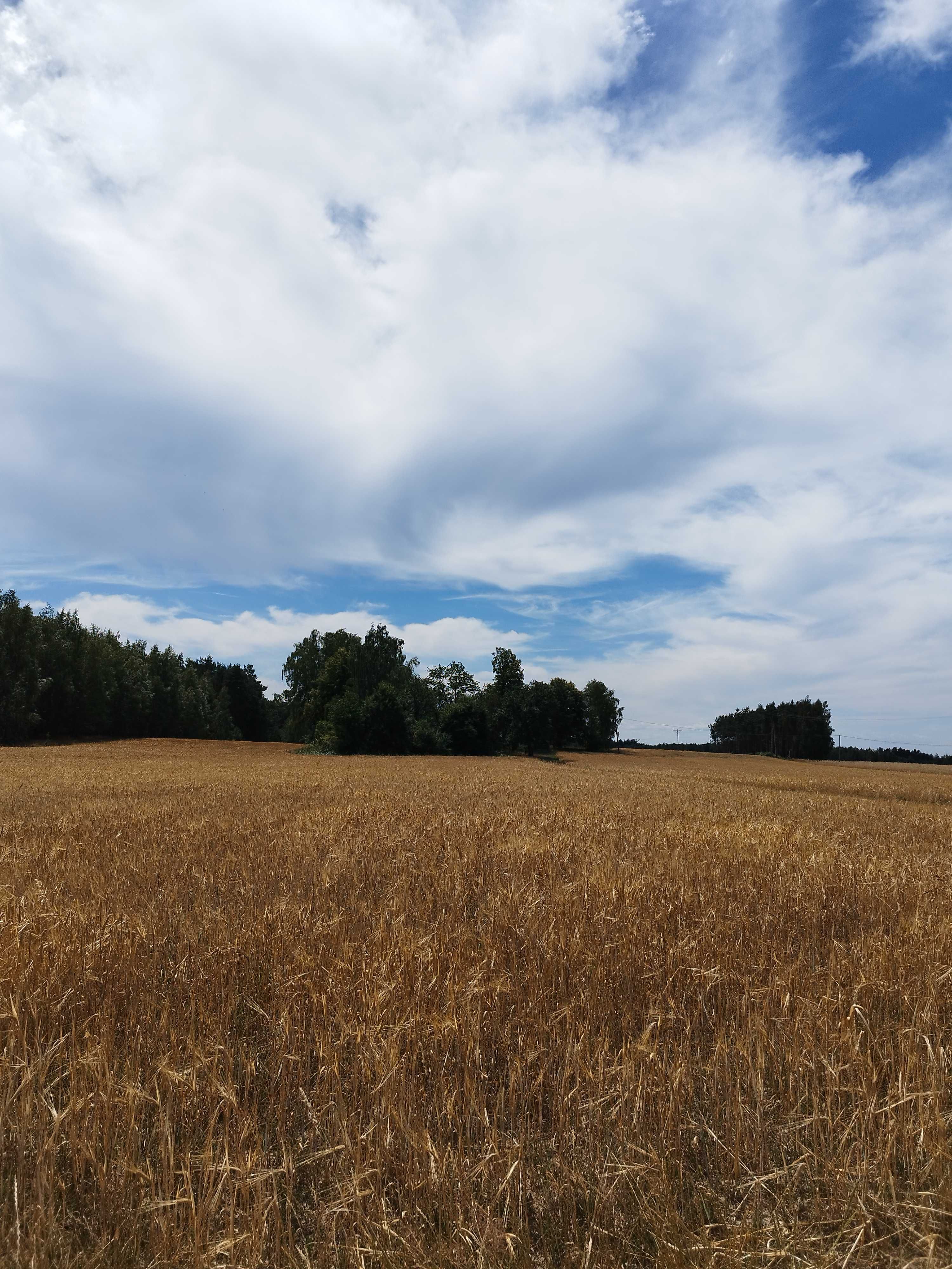 Altana na imprezy okolicznościowe