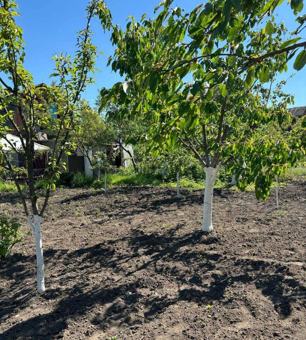 Продаж дачі на Лезнево.Куточок Вашого затишку від міської метушні.