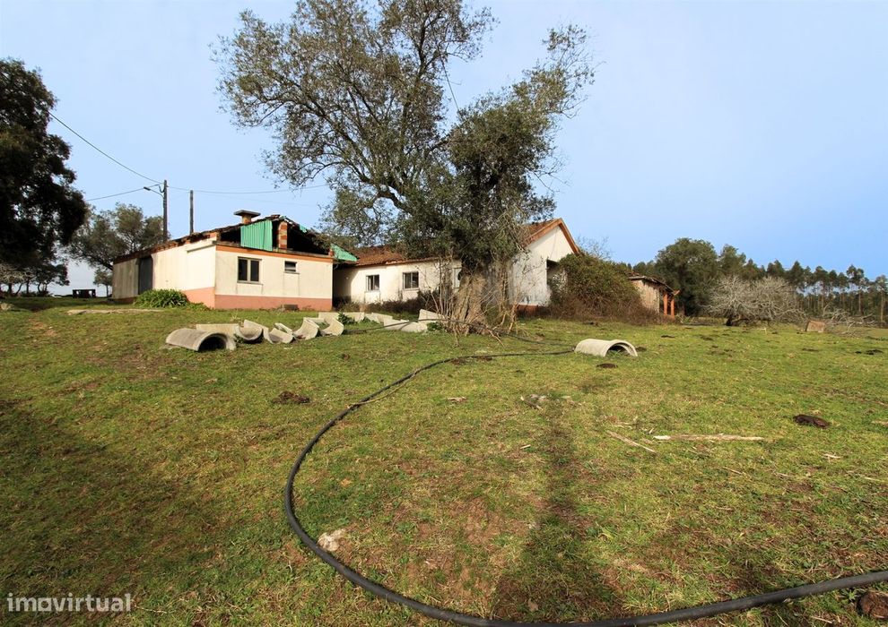 Quinta / Herdade / Terreno / Souto da Carpalhosa