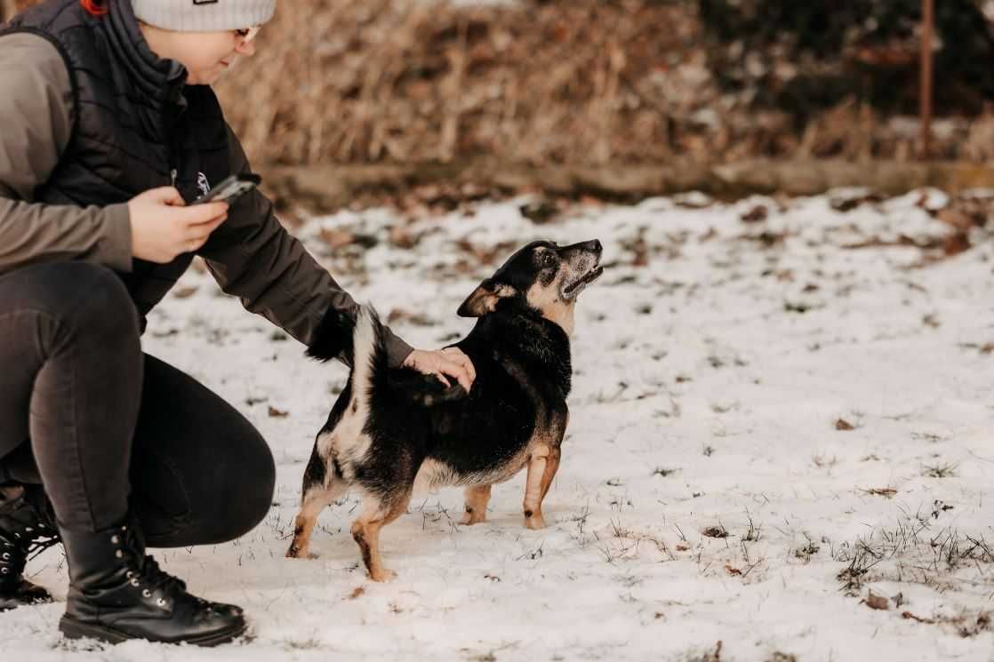 Bziczek to wyjątkowy psiak potrzebujący mądrego i świadomego opiekuna