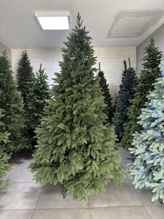 Choinka swierk real tree 250cm