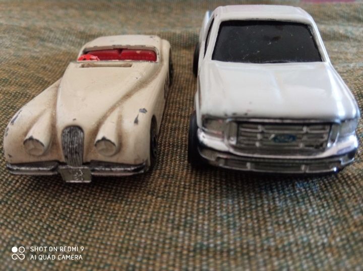 Miniaturas loicas variadas