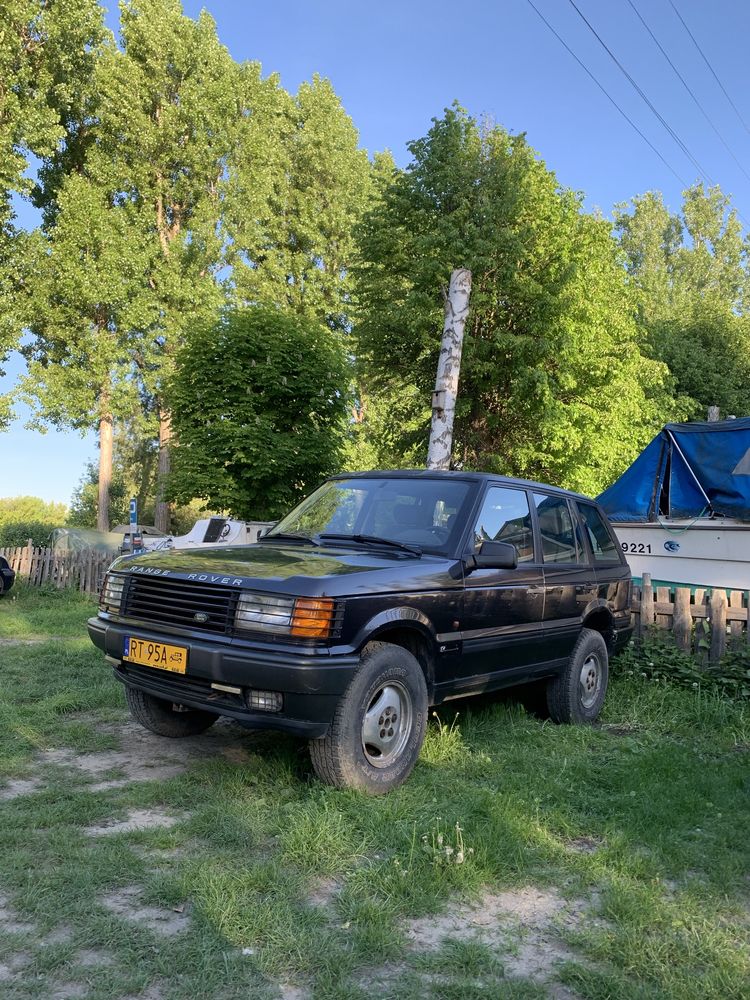 Range rover p38, youngtimer na żółtych tablicach