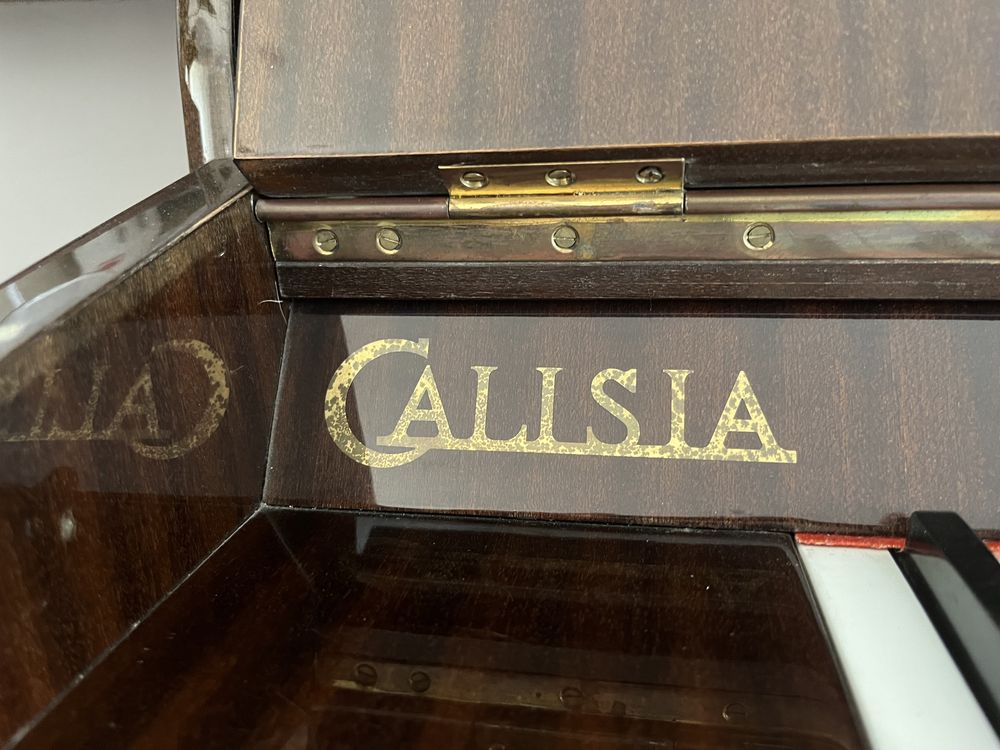 Pianino Calisia M-105