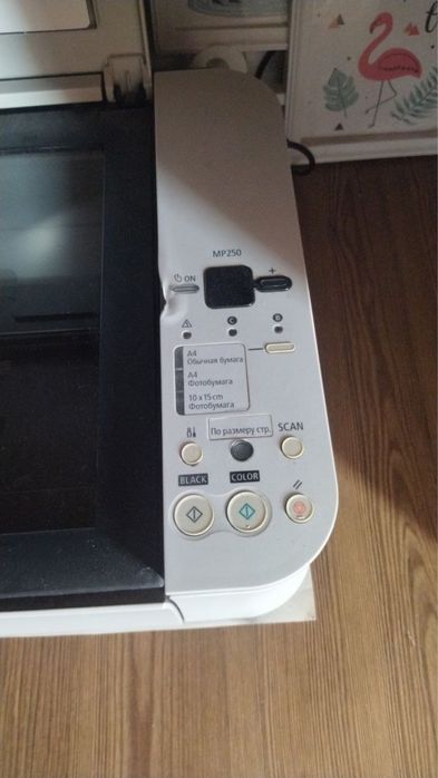 Принтер Canon MP250