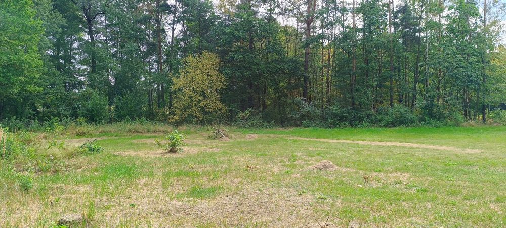 Sprzedam Działkę Leśno-Rekreacyjną