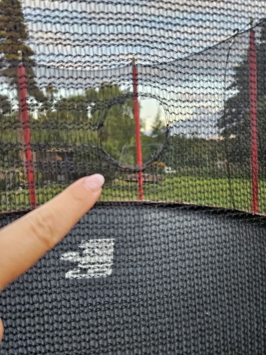 Trampolina goliath