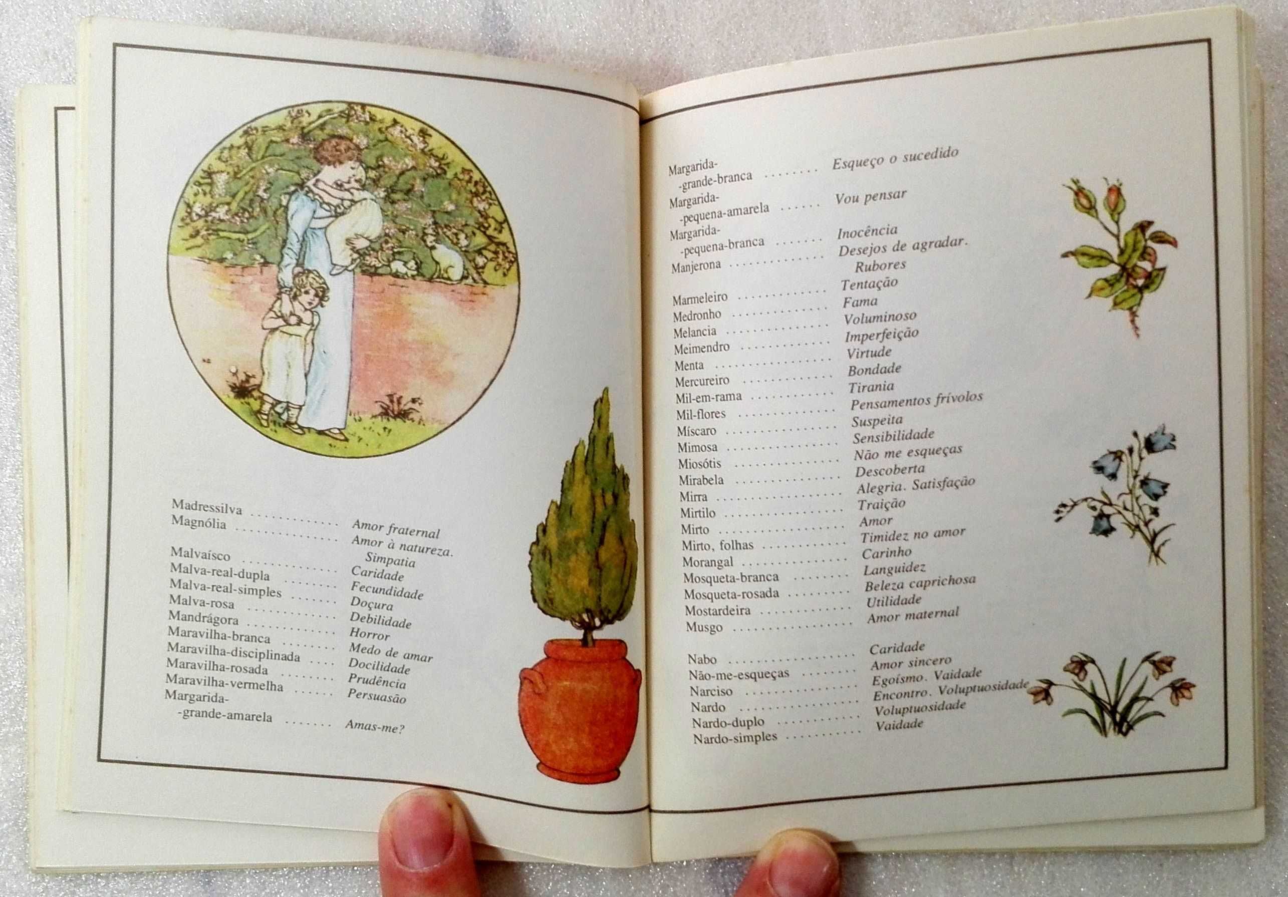 Livro A Linguagem das Flores