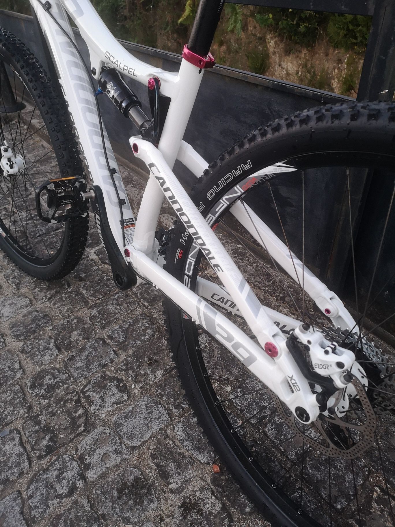 Cannondale scalpel