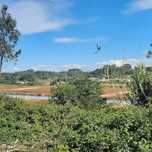 Terreno Novo em Aveiro com Vista para Lagoa e Campo
