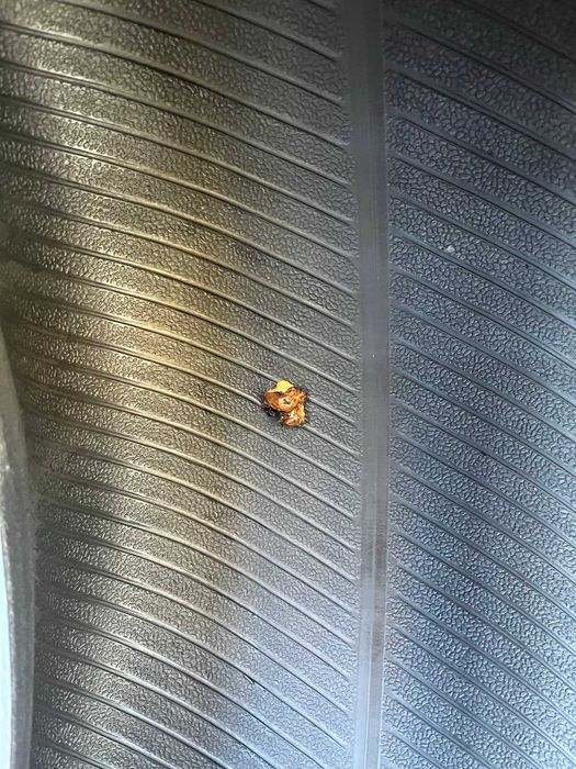 Opony Hankook Ventus Prime 2  225/60/17 99H  7mm