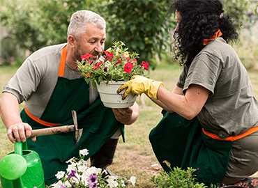 SERVIÇOS DE JARDINAGEM | SANTO TIRSO E ARREDORES | MSFLOR.PT