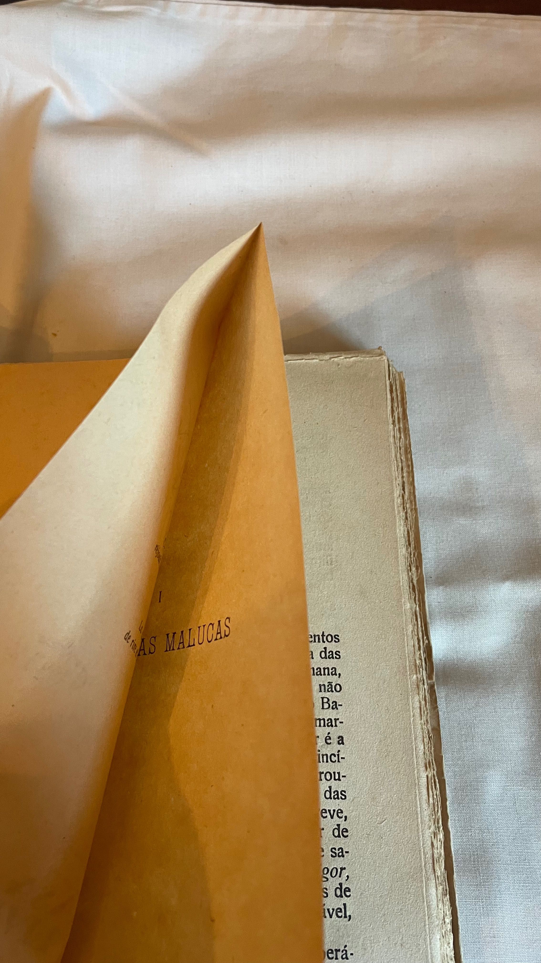 Livro Sem Cura Possível
