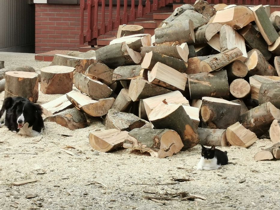 Drewno Opałowe Kominkowe Buk Grab Sezonowany Transport