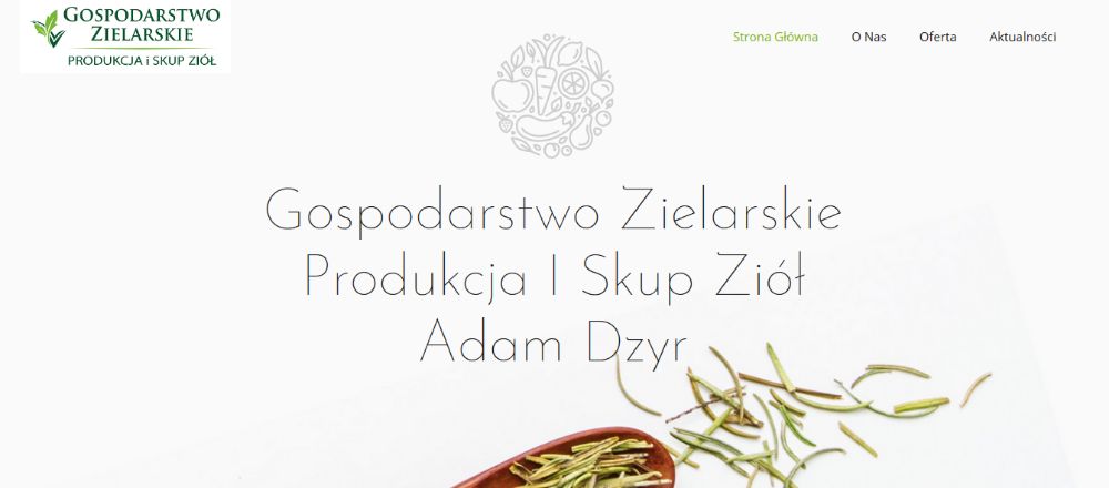 Tworzenie stron Strony internetowe Sklep www Pozycjonowanie Strony www