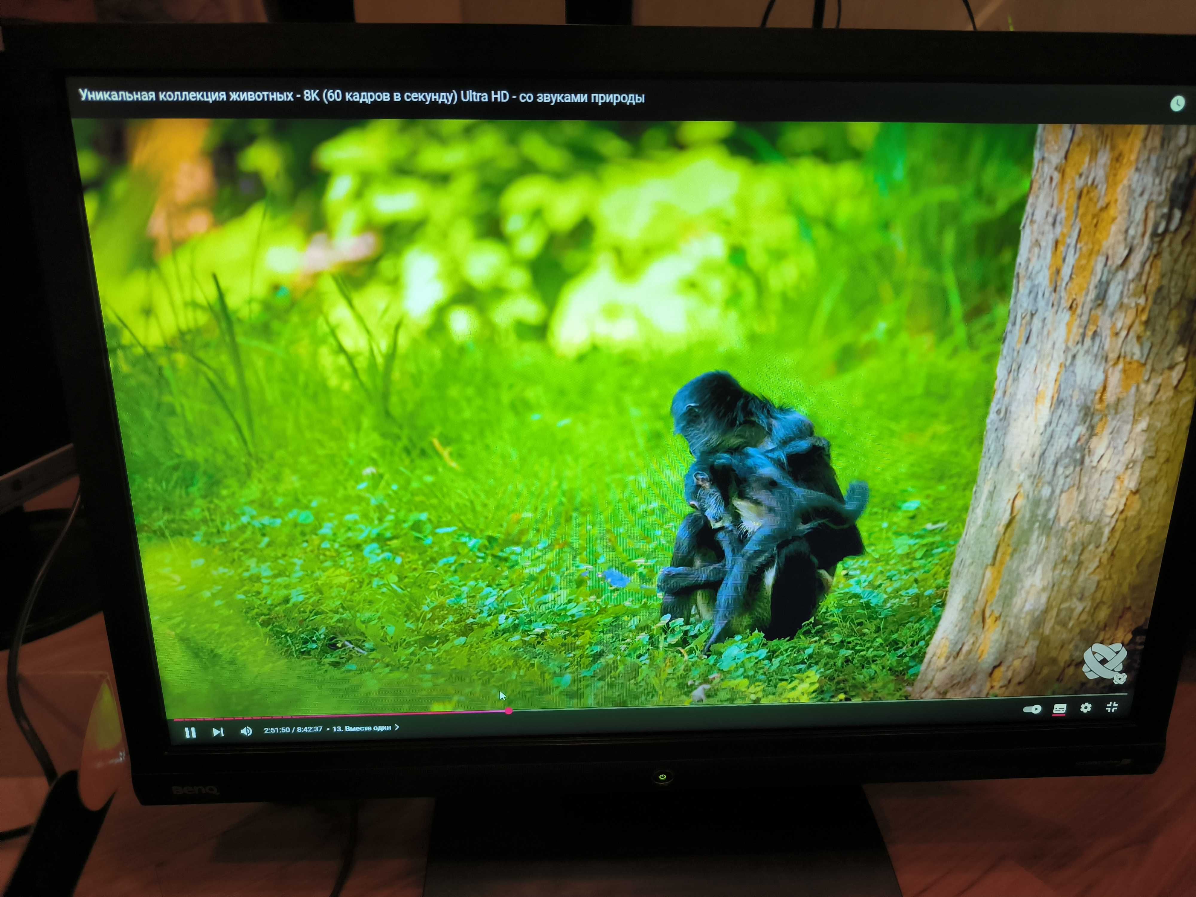 Монитор  BenQ 22 дюйма, vga dvi