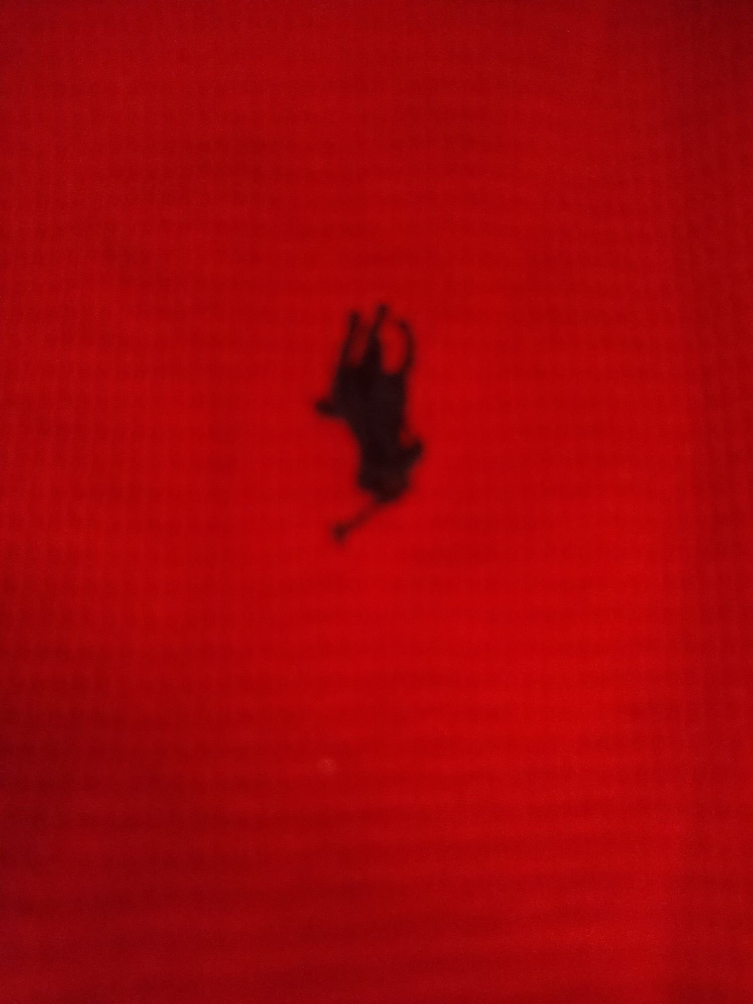 Sweter/Piżama Polo Ralph Lauren
