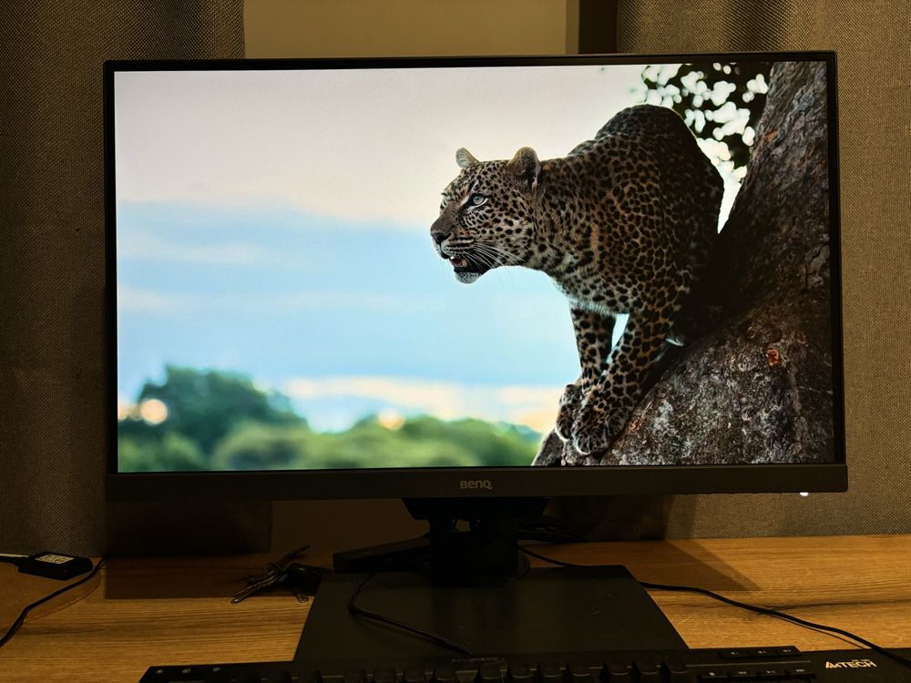 BenQ PD2500Q 25” QHD IPS для дизайну, sRGB