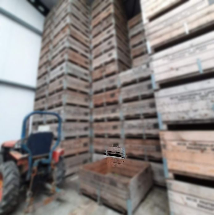 Skrzynia/kista transportowa drewniana 23 zł/szt