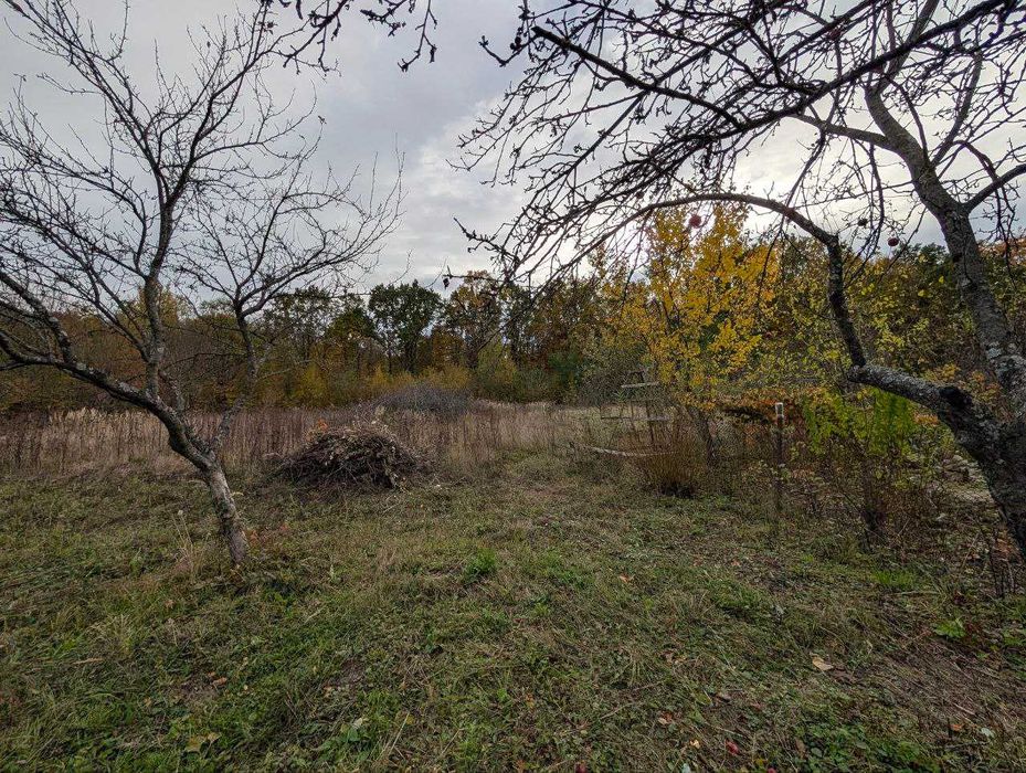 продаж ділянки під будівництво с.Посіч біля лісу