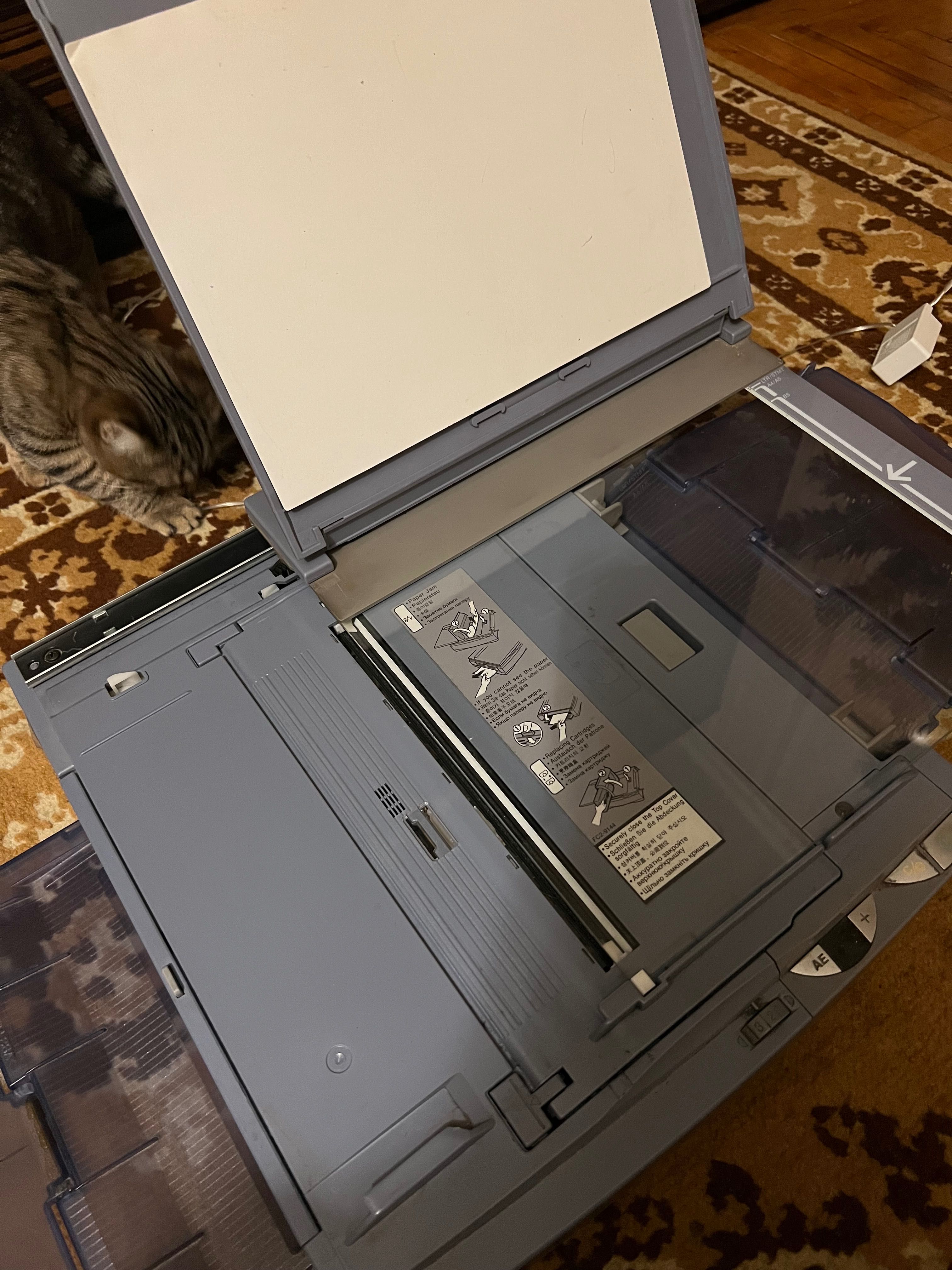 Принтер у робочому стані