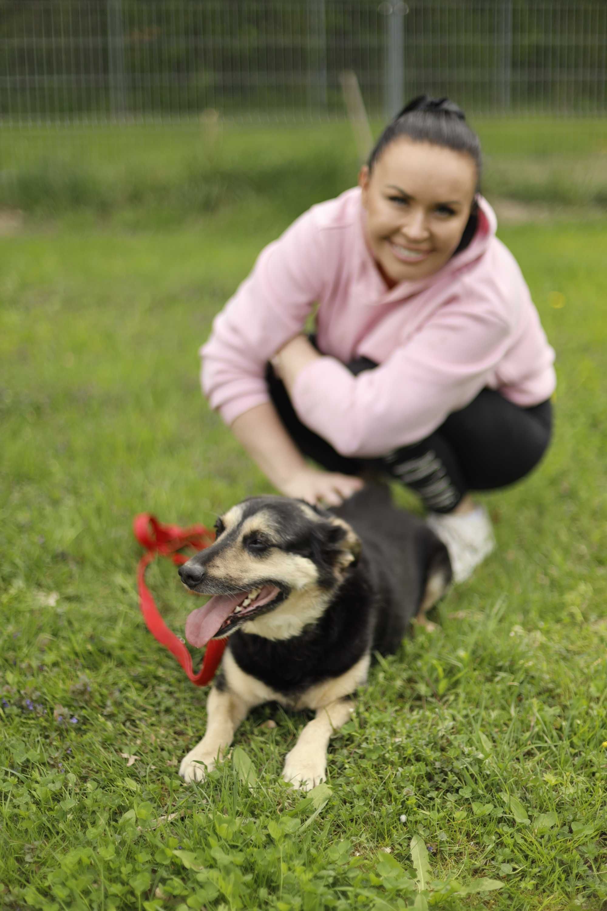 Akord – wyjątkowy pies szuka odpowiedzialnego domu