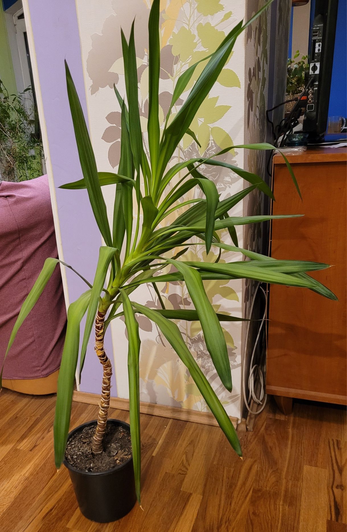 Yuka 110cm jednopędowa