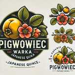 Sok pigwowiec japoński z pigwowca japonskiego Butelka szklana 0,3 l