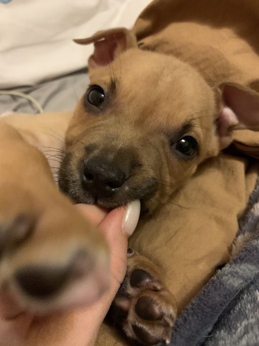 Стафф ищет девочку)))